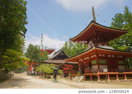 從世界遺產高野山蜿蜒小徑眺望東塔 從世界遺產高野山蜿蜒小徑眺望東塔 129038024