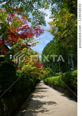 世界遺產高野山的風景：蜿蜒小路 129038030