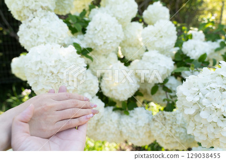 Spring memories of healing and kindness① 129038455