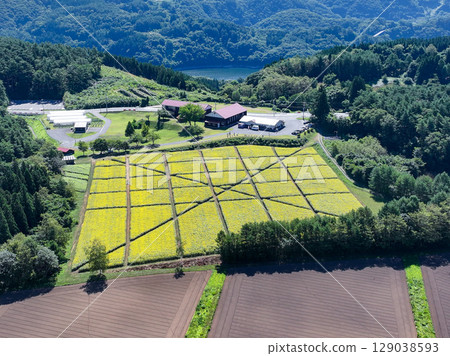 Aerial view of the summer scenery of the "Mountain School" experience exchange facility in Aomori Prefecture 129038593