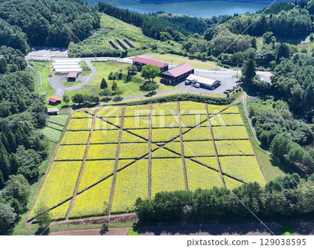 Aerial view of the summer scenery of the "Mountain School" experience exchange facility in Aomori Prefecture 129038595