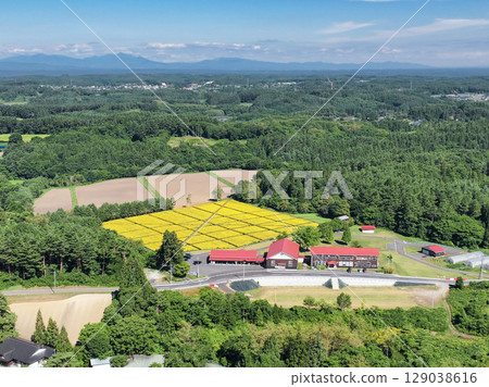 Aerial view of the summer scenery of the "Mountain School" experience exchange facility in Aomori Prefecture 129038616