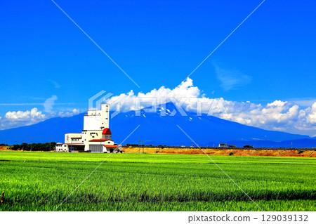 夏日藍天與稻田風景 129039132