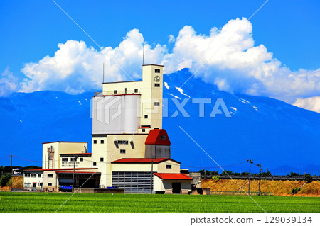 Summer blue sky and rice field scenery 129039134