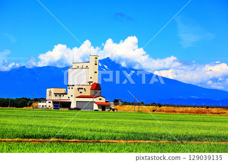 Summer blue sky and rice field scenery Summer blue sky and rice field scenery 129039135