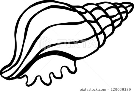 Counch shell seashell doodle outline, fisherman aesthetic 129039389