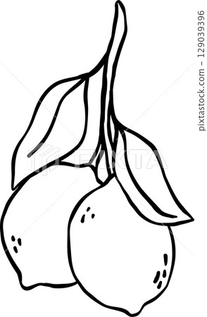 Bunch Lemons doodle outline, fisherman aesthetic 129039396