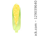 Watercolor style corn with husk on white background 129039640