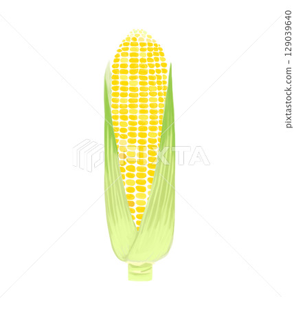 白色背景下帶殼的水彩風格玉米 129039640
