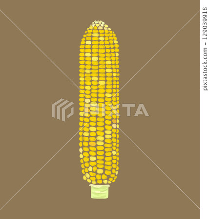 Corn on a watercolor brown background 129039918