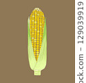 Corn with husk on a watercolor brown background 129039919