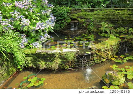 初夏久留米石橋文化中心的池塘，繡球花盛開 129040186
