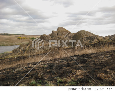 Burnt grass after a fire in a protected natural area near a lake. Be careful with fire Burnt grass after a fire in a protected natural area near a lake. Be careful with fire 129040356