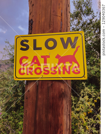 Wooden pole sign saying 'slow cat crossing' to protect local cats from speeding cars 129040367