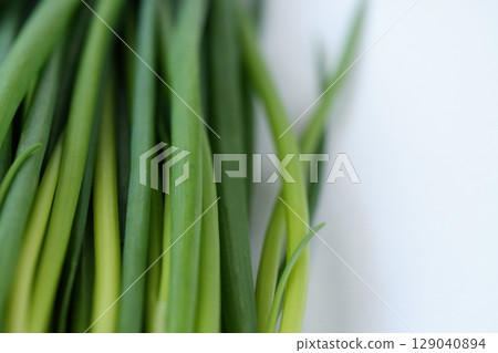 Flavorful Green Onions - Vibrant Green (Hiroshima Prefecture) 129040894