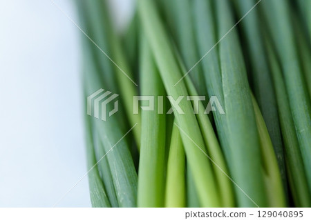 Flavorful Green Onions - Vibrant Green (Hiroshima Prefecture) 129040895