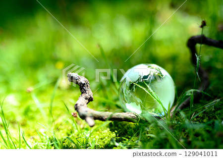 A crystal globe on a branch in the grass - Ecology image 129041011