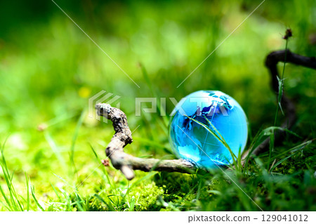 草地樹枝上的水晶球。生態影像。淺藍色。 草地樹枝上的水晶球。生態影像。淺藍色。 129041012