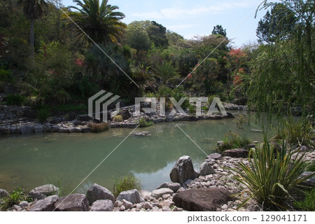 Monet's garden 129041171