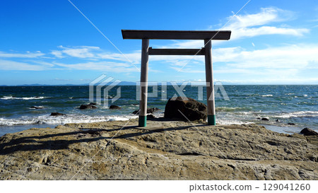 Chita Peninsula - Torii Gate at Tsubuteura 129041260