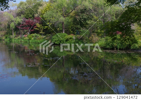 Monet's garden 129041472