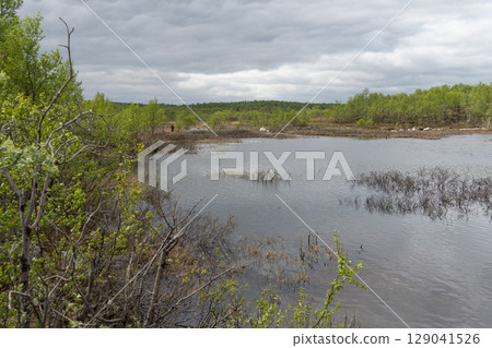 A man fishes at the edge of a northern wetland surrounded by fresh spring greenery and still water, under a dramatic cloudy sky A man fishes at the edge of a northern wetland surrounded by fresh spring greenery and still water, under a dramatic cloudy sky 129041526