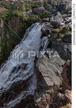 Woman standing on rocks near the powerful Battery waterfall, capturing the scene with her smartphone against rugged Arctic nature Woman standing on rocks near the powerful Battery waterfall, capturing the scene with her smartphone against rugged Arctic nature 129041715