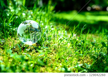 A crystal globe in a field of grass. Ecological image. Normal color. 129042260