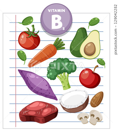 Vitamin B3 Rich Foods Illustrated on Lined Paper 129042282