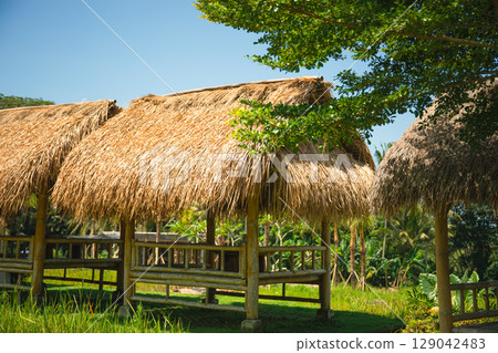 Traditional thatched huts are nestled in lush green surroundings Traditional thatched huts are nestled in lush green surroundings 129042483