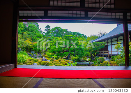[Kyoto Scenery] Toji-in Temple: A quiet garden alone soothes the soul 129043580