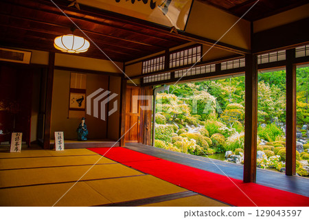 【京都風景】同持院：靜謐的庭園獨享慰藉 129043597