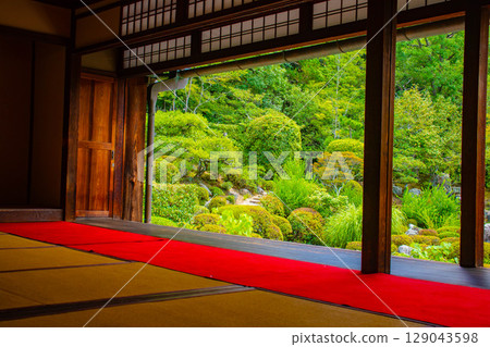 【京都風景】同持院：靜謐的庭園獨享慰藉 129043598