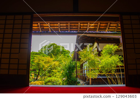【京都風景】同持院:靜謐的庭園獨享慰藉 【京都風景】同持院:靜謐的庭園獨享慰藉 129043603