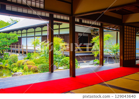 [Kyoto Scenery] Toji-in Temple: A quiet garden alone soothes the soul 129043640
