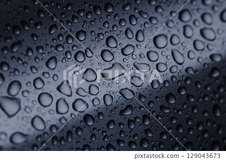 Raindrops on the silver-gray body have become art 129043673
