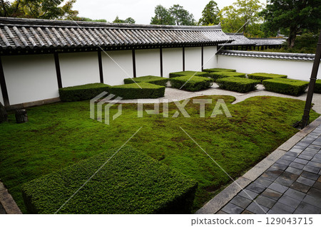 南禪寺本寺的庭園景色 129043715