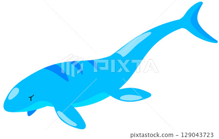 賽爾瑪龍 賽爾瑪龍 129043723