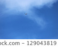 Airplane and blue sky 129043819