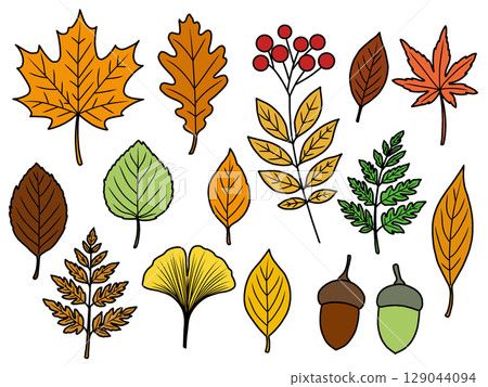 秋季材質套裝（附輪廓）C 129044094