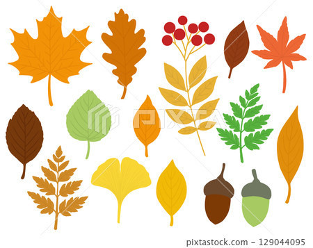 秋季材質套裝（無輪廓）D 129044095