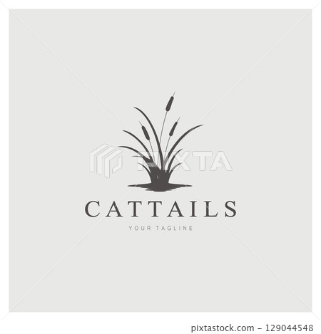 cattails or river reed grass plant logo design, aquatic plants, swamp, wild grass vector 129044548