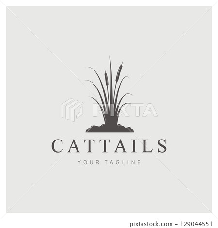 cattails or river reed grass plant logo design, aquatic plants, swamp, wild grass vector 129044551