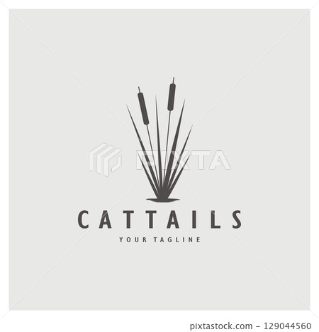 cattails or river reed grass plant logo design, aquatic plants, swamp, wild grass vector 129044560