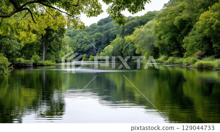 Calm river flowing through lush green forest with reflections on the water surface in peaceful summer landscape 129044733