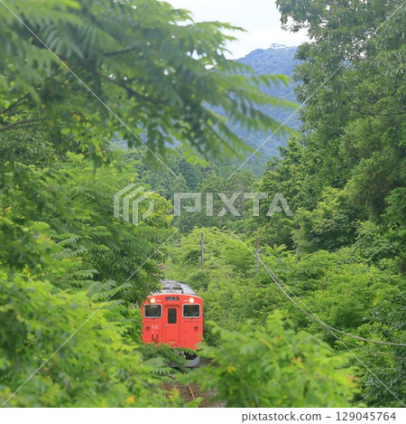 Summer Bantan Line and Takeda Castle 129045764
