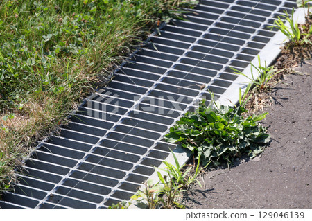weeds, grass, asphalt, drain, rainwater, rain, sewage, sewer, ground, plants, green, nature, outdoor, leaves weeds, grass, asphalt, drain, rainwater, rain, sewage, sewer, ground, plants, green, nature, outdoor, leaves 129046139