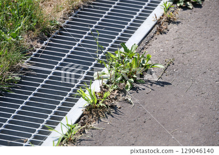 weeds, grass, asphalt, drain, rainwater, rain, sewage, sewer, ground, plants, green, nature, outdoor, leaves 129046140