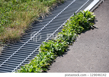 weeds, grass, asphalt, drain, rainwater, rain, sewage, sewer, ground, plants, green, nature, outdoor, leaves 129046142