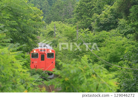 Summer Bantan Line 129046272